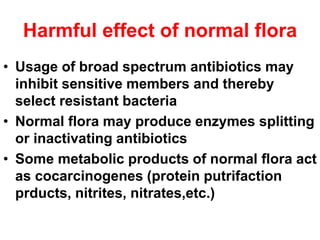Harmful effect of normal flora
• Usage of broad spectrum antibiotics may
inhibit sensitive members and thereby
select resistant bacteria
• Normal flora may produce enzymes splitting
or inactivating antibiotics
• Some metabolic products of normal flora act
as cocarcinogenes (protein putrifaction
prducts, nitrites, nitrates,etc.)
 