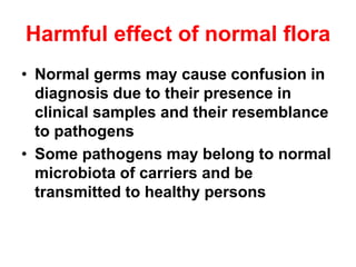 Harmful effect of normal flora
• Normal germs may cause confusion in
diagnosis due to their presence in
clinical samples and their resemblance
to pathogens
• Some pathogens may belong to normal
microbiota of carriers and be
transmitted to healthy persons
 