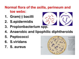 Normal flora of the axilla, perineum and
toe webs:
1. Gram(-) bacilli
2. S.epidermidis
3. Propionbacterium spp.
4. Anaerobic and lipophilic diphtheroids
5. Peptococci
6. S.viridans
7. S. aureus
 