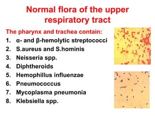 Normal flora of the upper
respiratory tract
The pharynx and trachea contain:
1. α- and β-hemolytic streptococci
2. S.aureus and S.hominis
3. Neisseria spp.
4. Diphtheroids
5. Hemophillus influenzae
6. Pneumococcus
7. Mycoplasma pneumonia
8. Klebsiella spp.
 