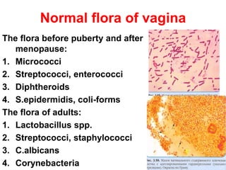 Normal flora of vagina
The flora before puberty and after
menopause:
1. Micrococci
2. Streptococci, enterococci
3. Diphtheroids
4. S.epidermidis, coli-forms
The flora of adults:
1. Lactobacillus spp.
2. Streptococci, staphylococci
3. C.albicans
4. Corynebacteria
 