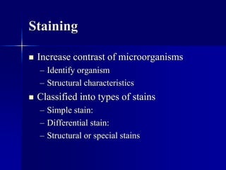 Structural Stain Examples Clinical microbiology dr. d.p. rajani | PPTX