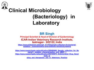 Clinical Microbiology
(Bacteriology) in
Laboratory
BR Singh
Principal Scientist & Head of Division of Epidemiology
ICAR-Indian Veterinary Research Institute,
Izatnagar- 243122, India
https://www.slideshare.net/singh_br1762/sample-collection-for-bacterial-
isolation- characterization-and-antibiotic-sensitivity-testing
https://www.researchgate.net/publication/299489486_Sample_collection_for_Ba
cterial_i solation_characterization_and_ABST_1
https://www.researchgate.net/publication/264165875_Antimicrobial_Drug_Sensi
tivity_te
sting_and_therapeutic_use_in_Veterinary_Practice
 