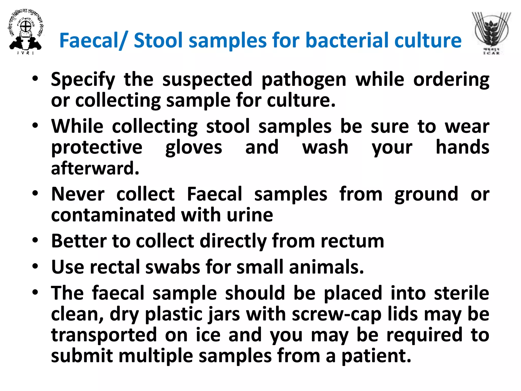 Stool Pathogen Sample Clinical Microbiology in Laboratory | PPTX