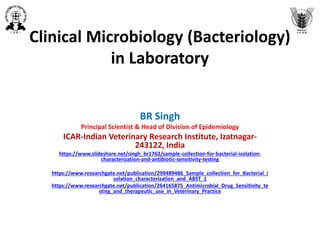 Clinical Microbiology (Bacteriology)
in Laboratory
BR Singh
Principal Scientist & Head of Division of Epidemiology
ICAR-Indian Veterinary Research Institute, Izatnagar-
243122, India
https://www.slideshare.net/singh_br1762/sample-collection-for-bacterial-isolation-
characterization-and-antibiotic-sensitivity-testing
https://www.researchgate.net/publication/299489486_Sample_collection_for_Bacterial_i
solation_characterization_and_ABST_1
https://www.researchgate.net/publication/264165875_Antimicrobial_Drug_Sensitivity_te
sting_and_therapeutic_use_in_Veterinary_Practice
 