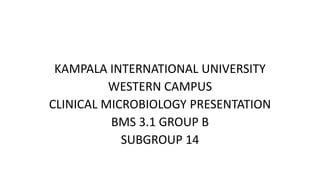 KAMPALA INTERNATIONAL UNIVERSITY
WESTERN CAMPUS
CLINICAL MICROBIOLOGY PRESENTATION
BMS 3.1 GROUP B
SUBGROUP 14
 
