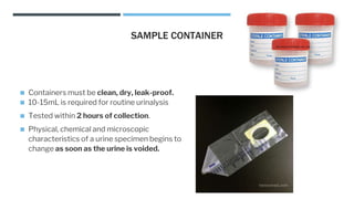 Clinical microscopy [Autosaved].pptx
