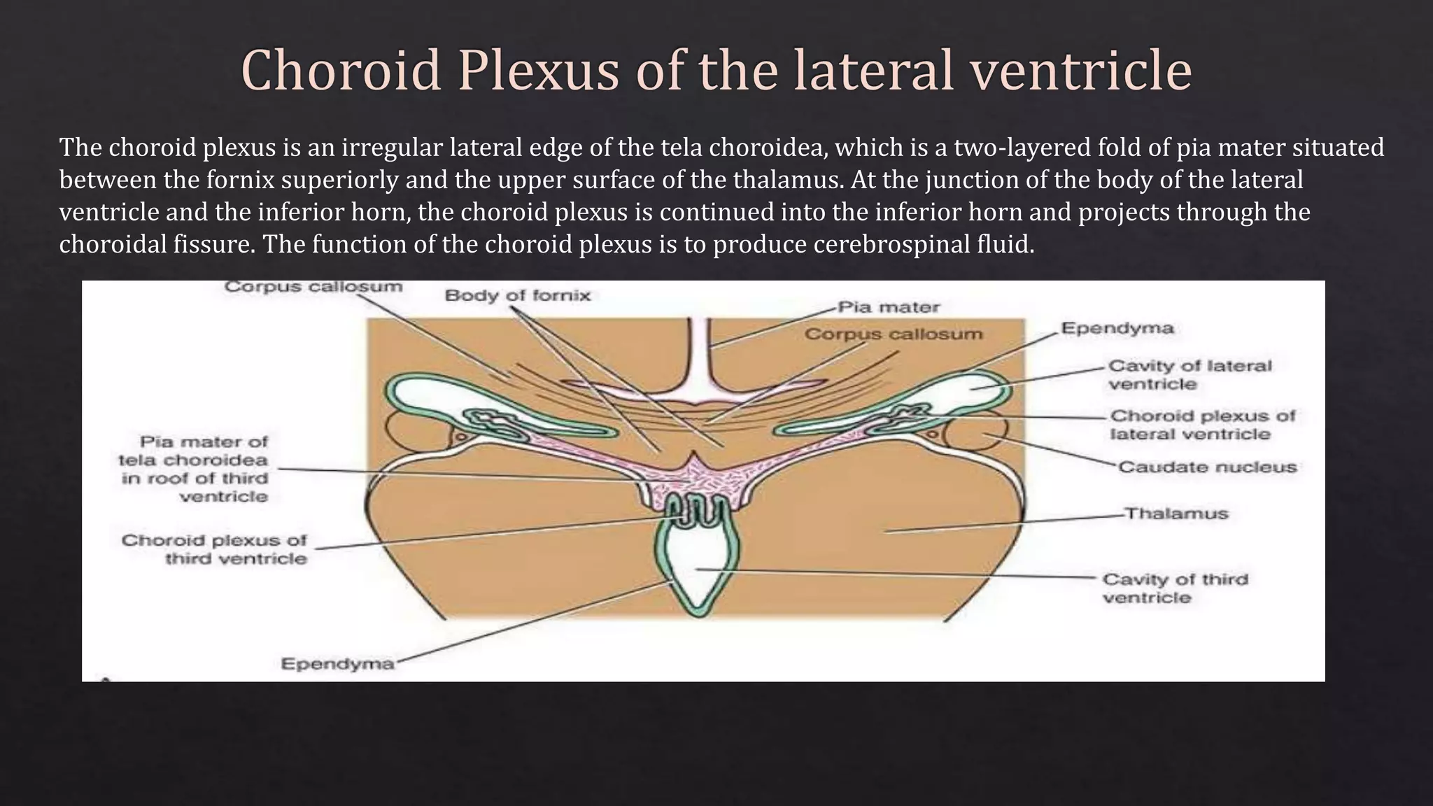 clinical Neuroanatomy_of_ventricular_system_ and CSF suparna[1]-1.pptx