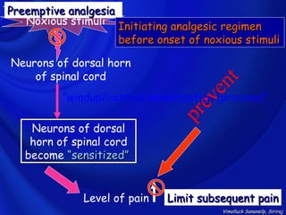 Preemptive analgesia
   Noxious stimuli Initiating analgesic regimen
                     before onset of noxious stimuli

Neurons of dorsal horn
    of spinal cord
                                          n t
         “windup/central sensitizationv
                                        e
                                       (process)”
                                  p re
    Neurons of dorsal
    horn of spinal cord
   become “sensitized”


              Level of pain   Limit subsequent pain
                                        Vimolluck Sanansilp, Siriraj
 