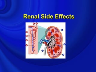 Renal Side Effects
 