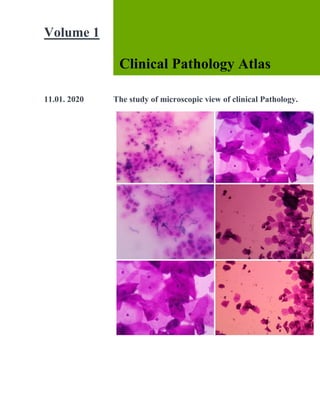 1
Volume 1
Clinical Pathology Atlas
11.01. 2020 The study of microscopic view of clinical Pathology.
 