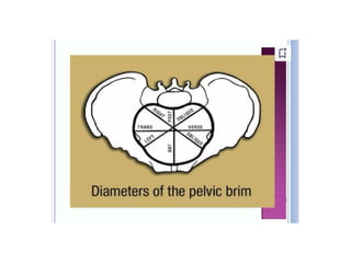 INTRODUCTION TO CLINICAL PELVIMETRY.pptx
