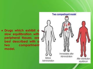 Drugs which exhibit a
slow equilibration with
peripheral tissues, are
best described with a
two
compartment
model.

 