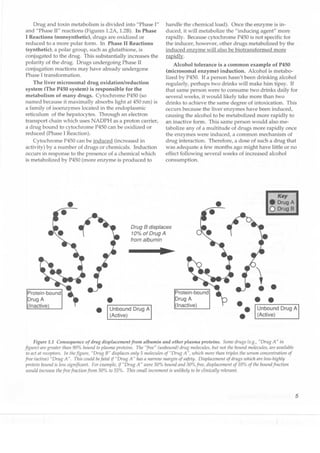 Clinical pharmacology(2)