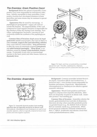 Clinical pharmacology(2)