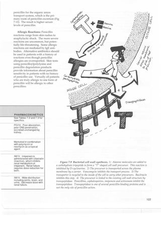 Clinical pharmacology(2)