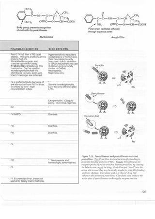 Clinical pharmacology(2)