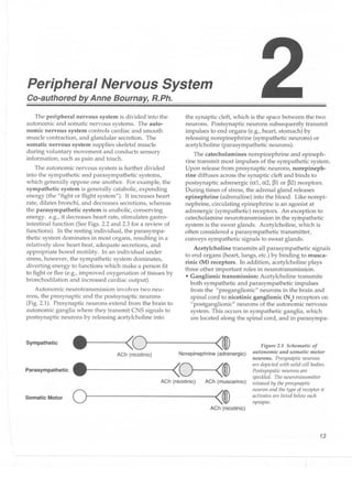 Clinical pharmacology(2)