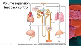 Clinical Pharmacology of Drugs Used to Affect Renal Function | PPTX