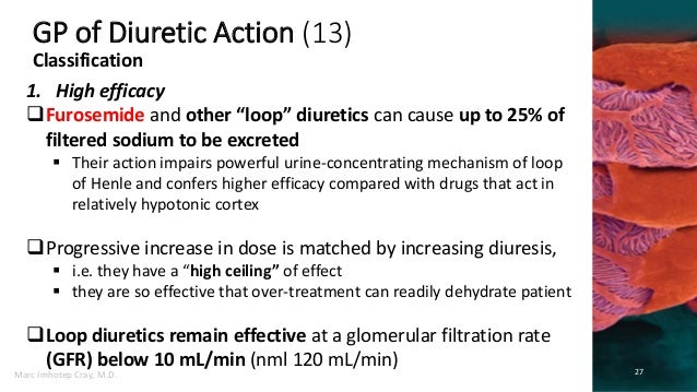 what drugs should not be taken with furosemide