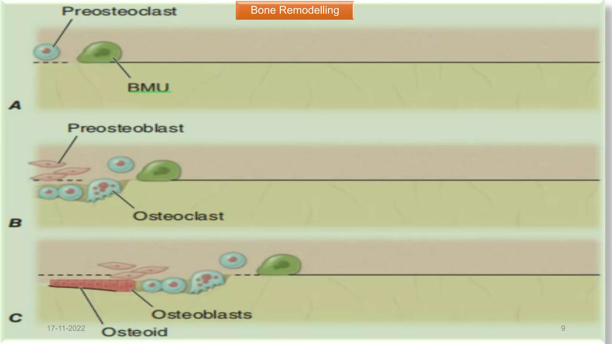 Clinical Pharmacology_pathophysiology, recent advances in management of ...