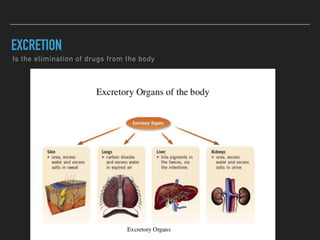Is the elimination of drugs from the body
EXCRETION
 