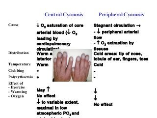 Central Cyanosis Peripheral Cyanosis
Cause ↓ O2
saturation of core
arterial blood (↓ O2
loading by
cardiopulmonary
circulation)
Stagnant circulation →
- ↓ peripheral arterial
flow
- ↑ O2
extraction by
tissues
Distribution Warm areas (tongue,
interior of lips), all over
Cold areas: tip of nose,
lobule of ear, fingers, toes
Temperature Warm Cold
Clubbing + -
Polycythaemia + -
Effect of
- Exercise
- Warming
- Oxygen
May ↑
No effect
↓ to variable extent,
maximal in low
atmospheric PO2
and
↓
↓
No effect
 