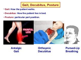 Gait, Decubitus, Posture
• Gait: How the patient walks.
• Decubitus: How the patient lies in bed.
• Posture: particular part position.
Antalgic
Gait
Orthopnic
Decubitus
Pursed-Lip
Breathing
 