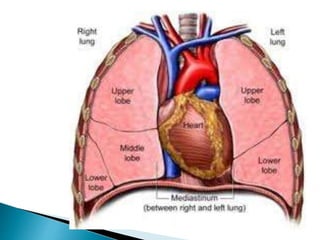Clinical presentation of a patient with pleural effusion | PPTX
