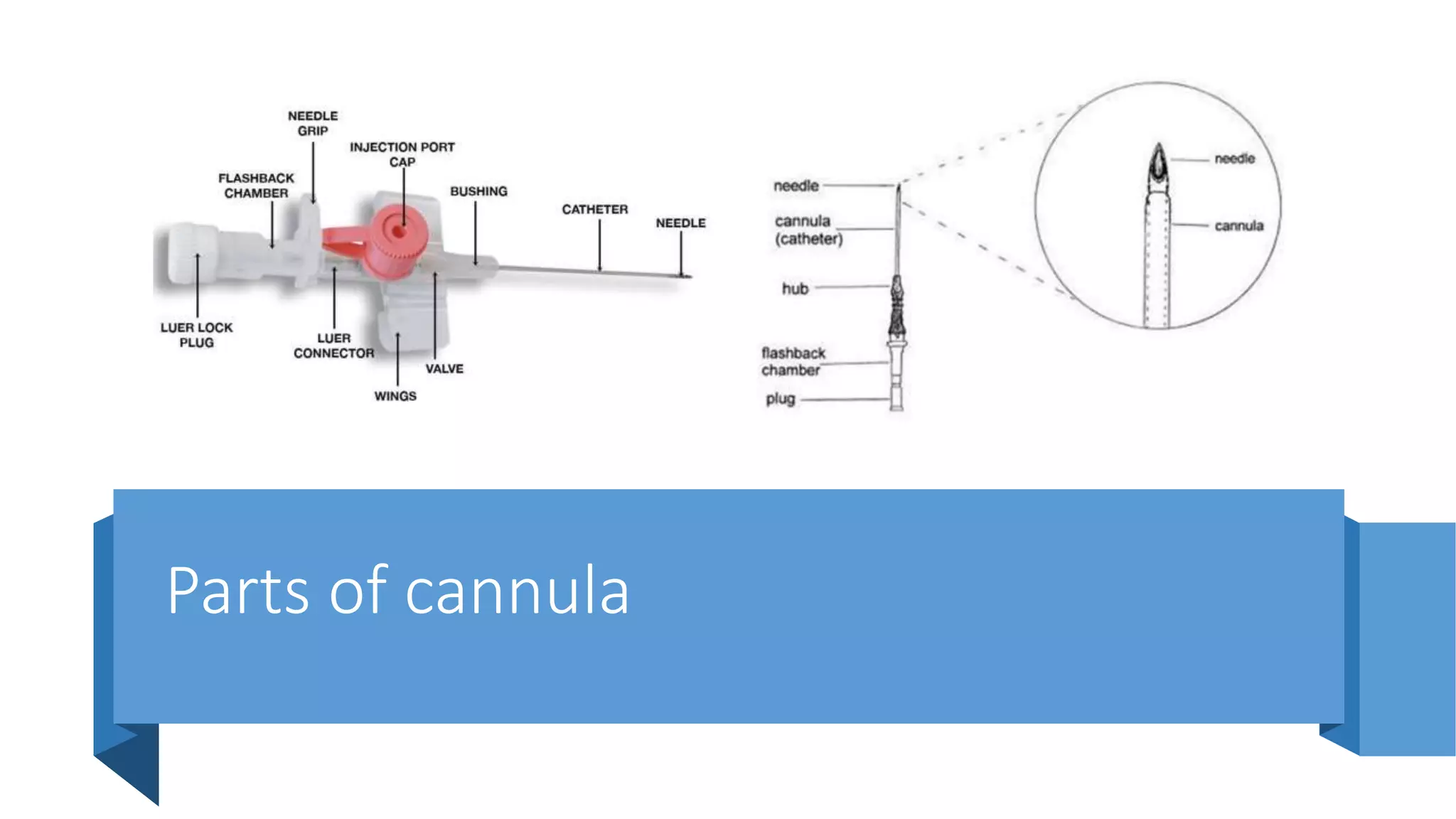 Parts of cannula
 