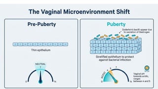 PUBERTY BY DR. ROZMI ( Definition, Normal Mechanism, Clinical Features ...