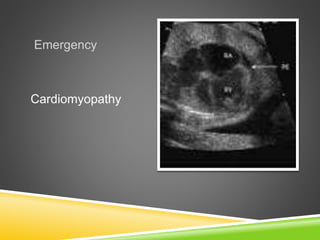 Clinical radiology slide share Slide 12
