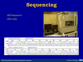 Sequencing ABI Sequencer (384 well) 