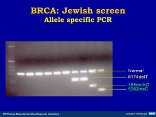 BRCA: Jewish screen Allele specific PCR 