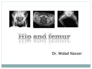 Dr. Widad Nasser
 