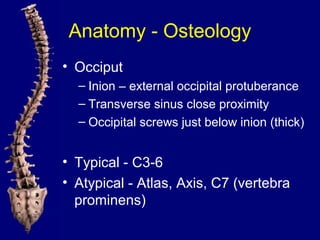 Head Inion Clinical spinal anatomy for students v2 | PPT