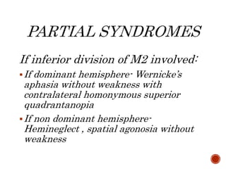 If inferior division of M2 involved:
If dominant hemisphere- Wernicke’s
aphasia without weakness with
contralateral homonymous superior
quadrantanopia
If non dominant hemisphere-
Hemineglect , spatial agonosia without
weakness
 