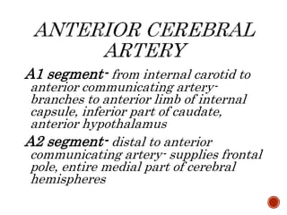 A1 segment- from internal carotid to
anterior communicating artery-
branches to anterior limb of internal
capsule, inferior part of caudate,
anterior hypothalamus
A2 segment- distal to anterior
communicating artery- supplies frontal
pole, entire medial part of cerebral
hemispheres
 