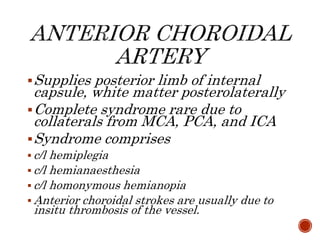 Supplies posterior limb of internal
capsule, white matter posterolaterally
Complete syndrome rare due to
collaterals from MCA, PCA, and ICA
Syndrome comprises
 c/l hemiplegia
 c/l hemianaesthesia
 c/l homonymous hemianopia
 Anterior choroidal strokes are usually due to
insitu thrombosis of the vessel.
 