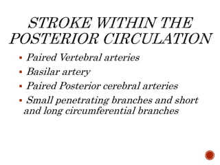  Paired Vertebral arteries
 Basilar artery
 Paired Posterior cerebral arteries
 Small penetrating branches and short
and long circumferential branches
 