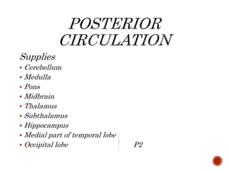 Supplies
 Cerebellum
 Medulla
 Pons
 Midbrain
 Thalamus
 Subthalamus
 Hippocampus
 Medial part of temporal lobe
 Occipital lobe P2
 