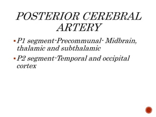 P1 segment-Precommunal- Midbrain,
thalamic and subthalamic
P2 segment-Temporal and occipital
cortex
 