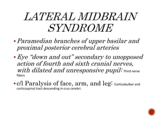 Paramedian branches of upper basilar and
proximal posterior cerebral arteries
Eye “down and out” secondary to unopposed
action of fourth and sixth cranial nerves,
with dilated and unresponsive pupil: Third nerve
fibers
c/l Paralysis of face, arm, and leg: Corticobulbar and
corticospinal tract descending in crus cerebri.
 
