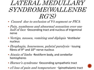  Caused due to occlusion of V4 segment or PICA
 Pain, numbness and abnormal sensation over one
half of face -Descending tract and nucleus of trigeminal
nerve
 Vertigo, nausea, vomiting and diplopia -Vestibular
nucleus
 Dysphagia, hoarseness, palatal paralysis - Issuing
fibres of 9th and 10th nerve nucleus
 Ataxia of limbs -Restiform body, and cerebellar
hemispheres
 Horner’s syndrome -Descending sympathetic tract
 c/l loss of pain and temperature - Spinothalamic tract
 