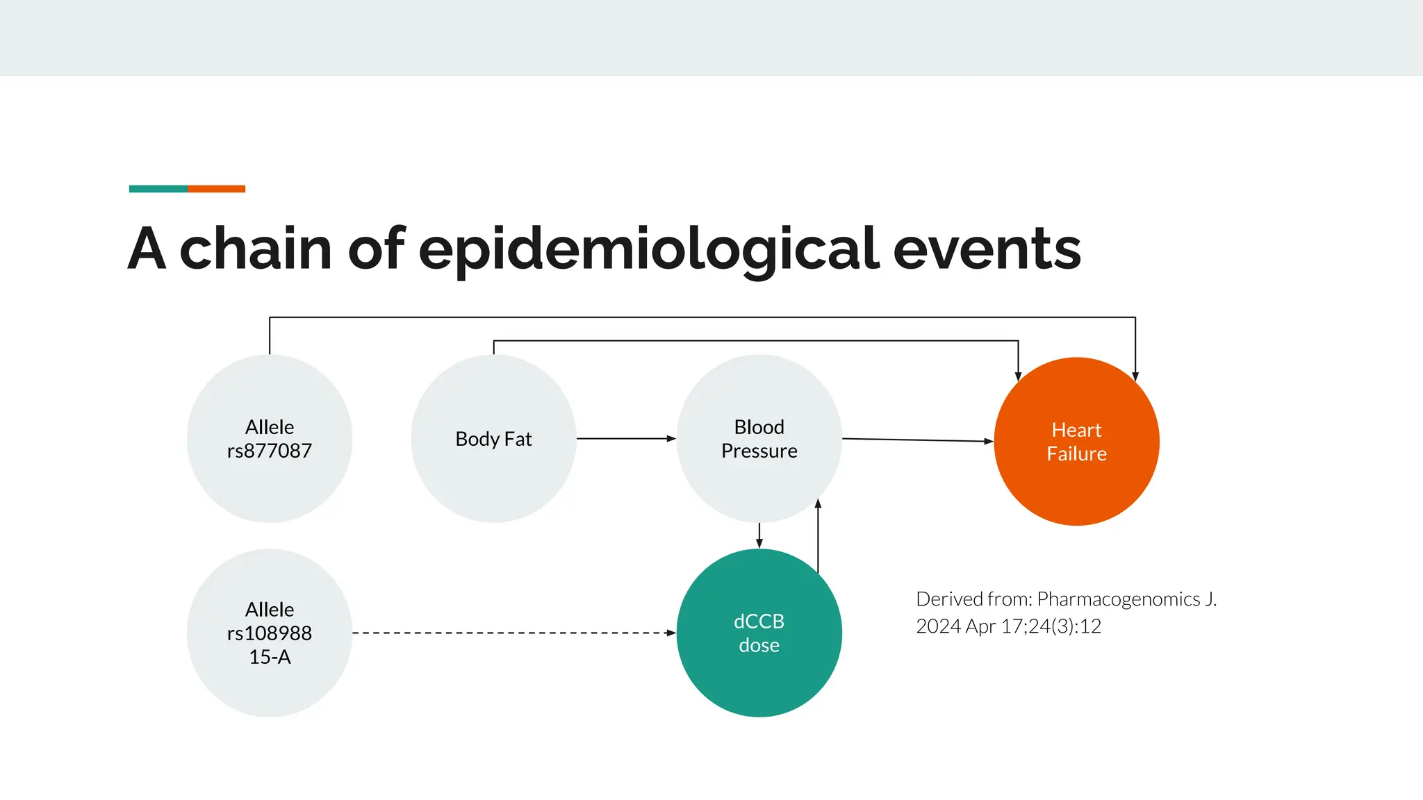A chain of epidemiological events
Body Fat
Blood
Pressure
Allele
rs877087
Heart
Failure
dCCB
dose
Allele
rs108988
15-A
Derived from: Pharmacogenomics J.
2024 Apr 17;24(3):12
 