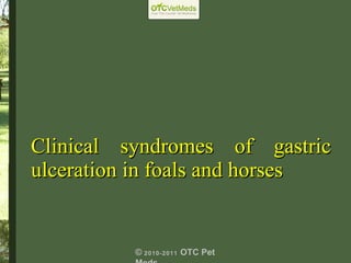 Clinical syndromes of gastric ulceration in foals and horses ©  2010-2011  OTC Pet Meds 