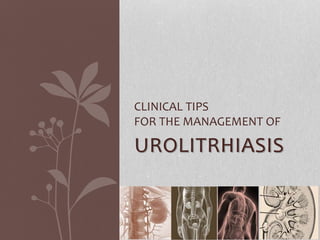 UROLITRHIASIS
CLINICAL TIPS
FOR THE MANAGEMENT OF
 