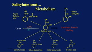 Metabolism
C O
OH
OH
HO
C O
O
OH
C6H9O6
C O
OH
O C6H9O6
C
N
H CH2COOH
O
OH
C
OH
O
OH
C
O
CH3
O
OH
C
OH
O
O C
O
CH3
Salicyluric acid Ether glucuronide Ester glucuronide Gentisic acid
Acetyl
Salicylic
acid
Methyl
salicylate
2.5%
pH
Urine Absorbed, Protein
binding
Salicylic acid
Salicylates cont…
7/1/2023 13
 
