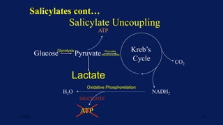 Salicylate Uncoupling
Glucose Pyruvate Kreb’s
Cycle CO2
NADH2
H2O
ATP
SALICYLATES
ATP
Lactate
Glycolysis Pyruvate
decarboxylase
Oxidative Phosphorelation
Salicylates cont…
7/1/2023 16
 