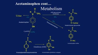 Metabolism
N-acetylparabenzoquinoneimine Acetaminophen glutathione conjugate
Acetaminophen glucuronide
Urine
OH
N
H C
O
CH3
N
H C
O
CH3
O SO3
-
N
C
O
CH3
O
N
C
O
CH3
OH
SG
Acetaminophen
Acetaminophen sulfate
N
H C
O
CH3
O C6H8O6
-
UDP-glucuronosyl-
transferase
50%
<5%
5-15%
CytoP450
Glutathione (GSH)
Acetaminophen cont…
 